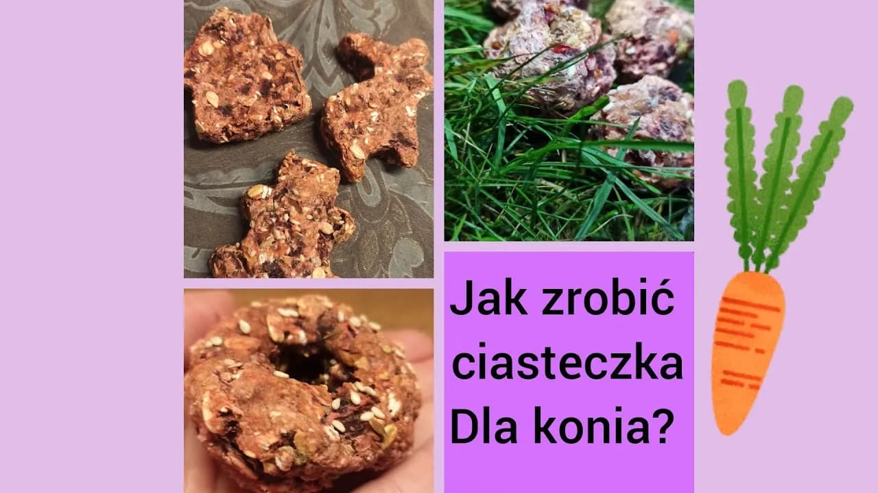 Jak zrobić ciastka dla koni - prosta receptura na zdrowe smakołyki Jak zrobić ciastka dla koni - prosta receptura na zdrowe smakołyki